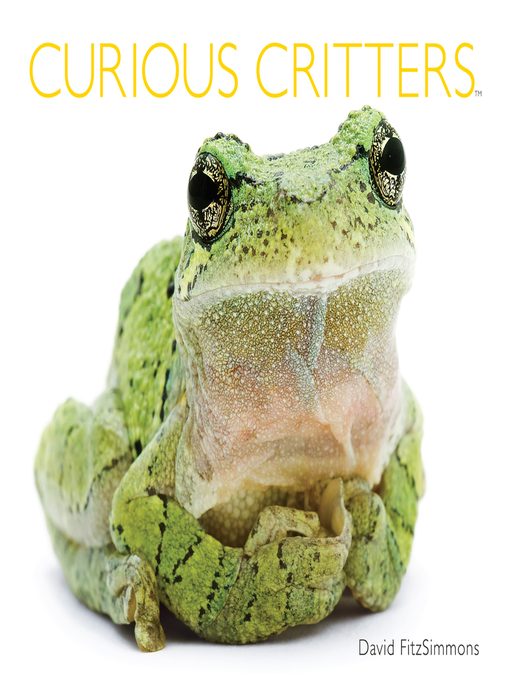 Title details for Curious Critters by David FitzSimmons - Available